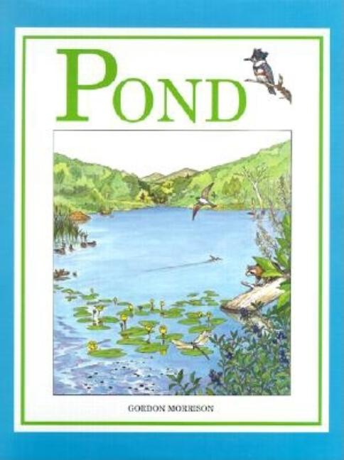 Pond