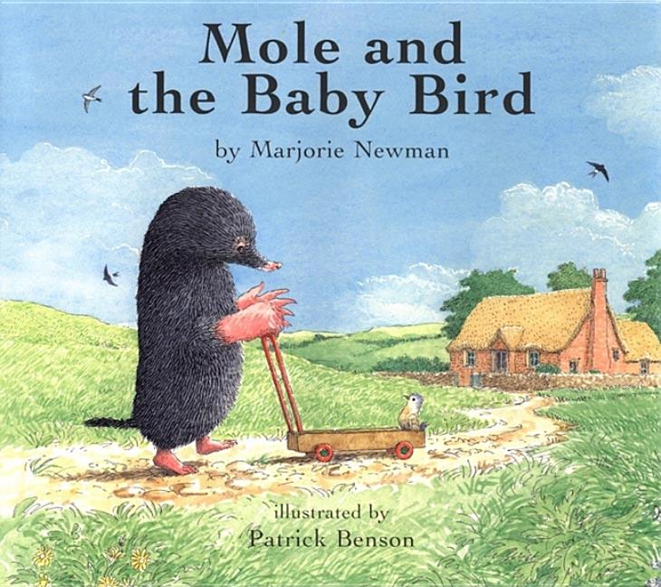 Mole and the Baby Bird