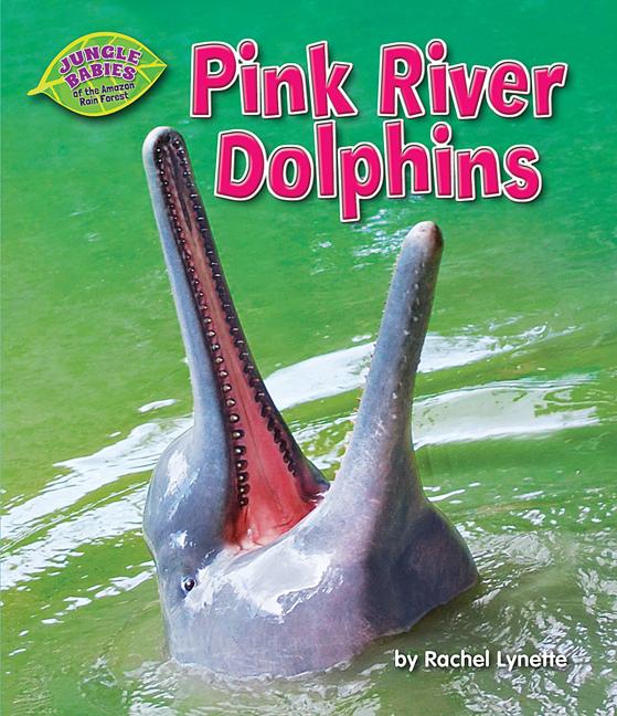 Pink River Dolphins