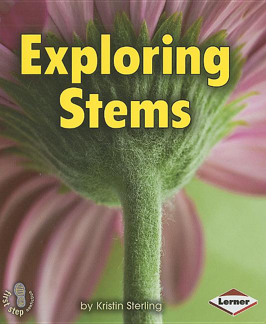 Exploring Stems