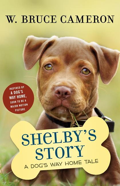 Shelby's Story