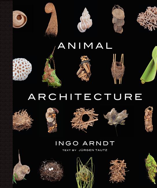 Animal Architecture