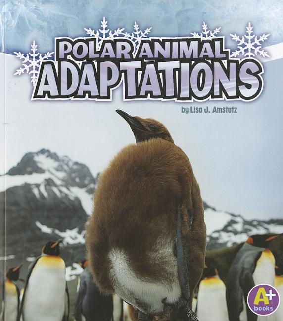 Polar Animal Adaptations