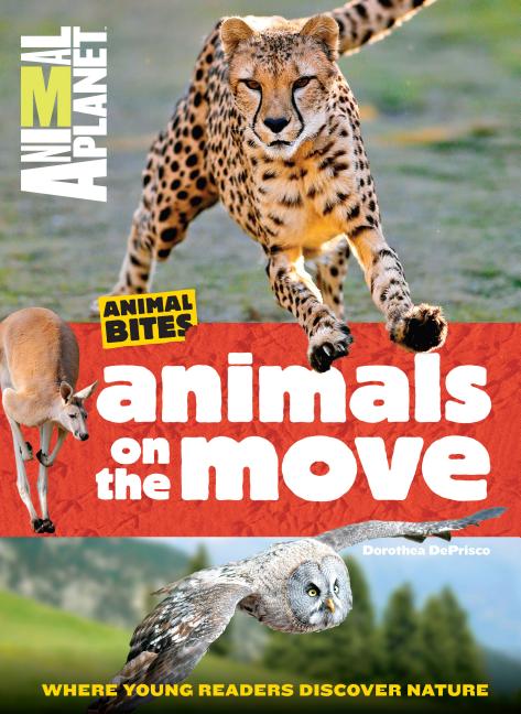 Animals on the Move