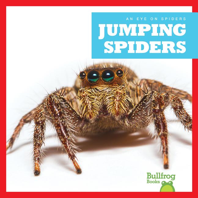 Jumping Spiders