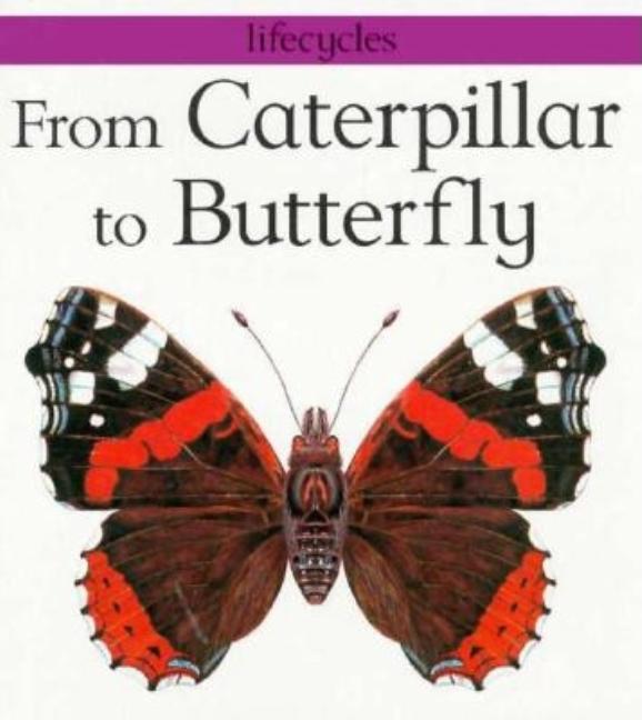 From Caterpillar to Butterfly