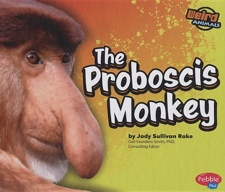 Proboscis Monkey