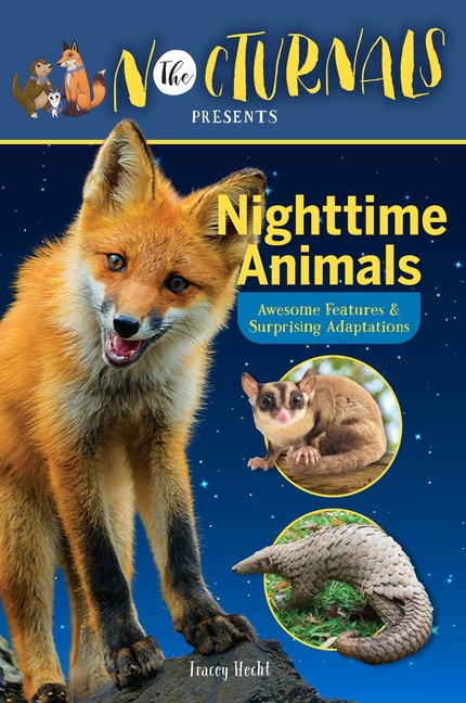 Nighttime Animals: Awesome Features & Surprising Adaptations