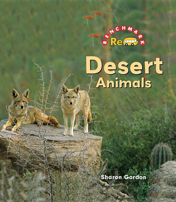 Desert Animals