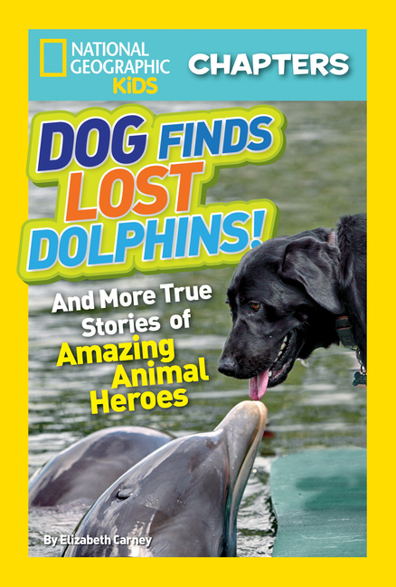 Dog Finds Lost Dolphins!: And More True Stories of Amazing Animal Heroes