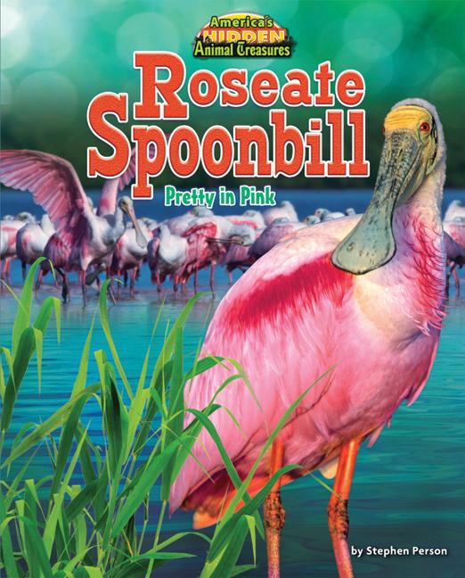 Roseate Spoonbill: Pretty in Pink