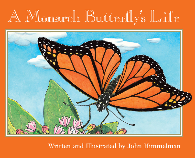 A Monarch Butterfly's Life