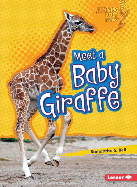 Meet a Baby Giraffe