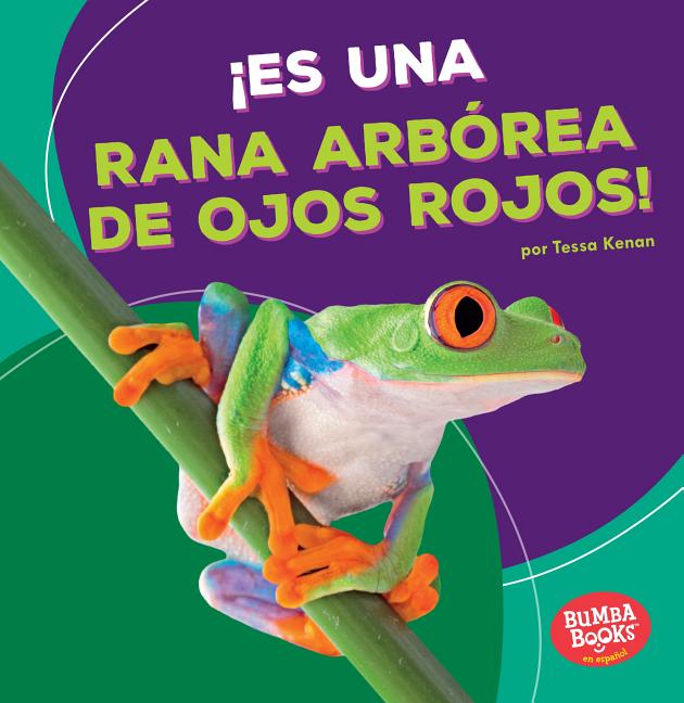 ¡Es una rana arbórea de ojos rojos!