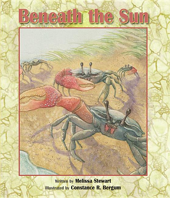 Beneath the Sun