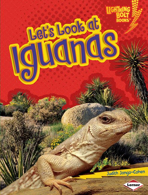 Let's Look at Iguanas