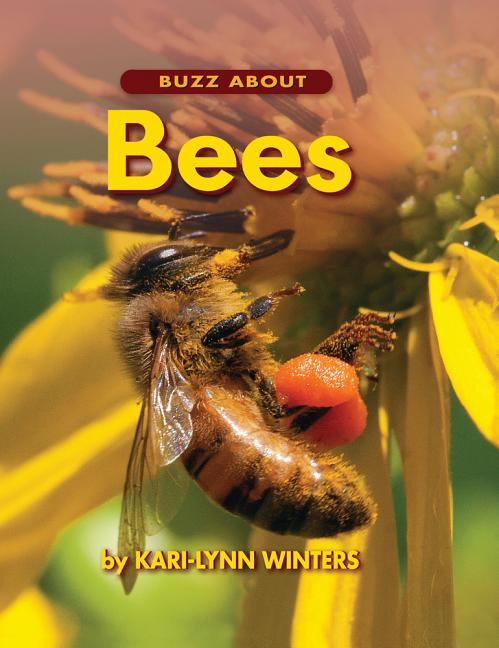 Buzz about Bees