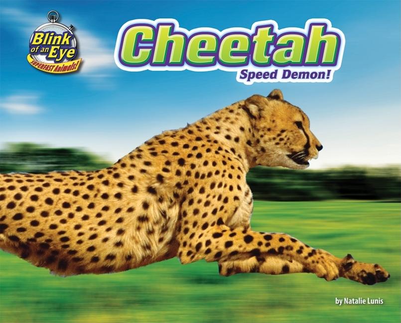 Cheetah: Speed Demon!