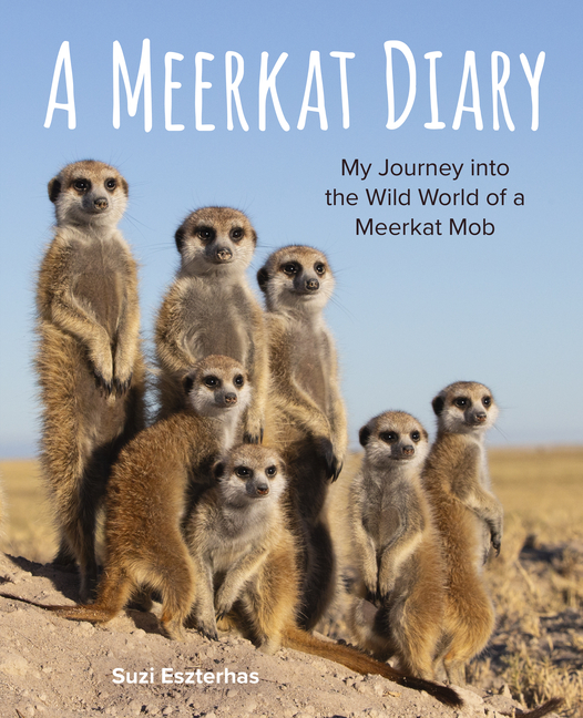 Meerkat Diary, A: My Journey Into the Wild World of a Meerkat Mob